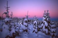 Photo-titre pour cet album: Hiver - Winter