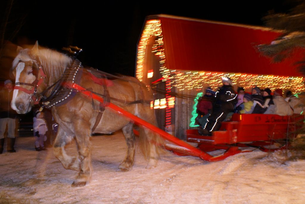 randonnee en cariole a cheval a la maison du Pere Noel de Girardville (4).JPG