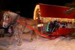 randonnee en cariole a cheval a la maison du Pere Noel de Girardville (4).JPG